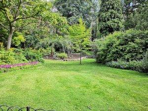 Quelles sont les meilleures décorations de jardin pour embellir vos fleurs et plantes à Bayonne ?